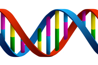 DNA-genetics
