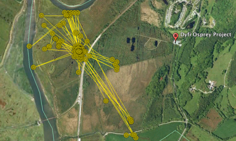 © MWT - Ceulan's tracker data over Cors Dyfi. Dyfi Osprey Project.