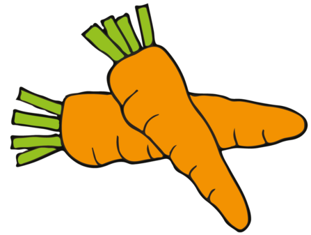 Carrot illustration