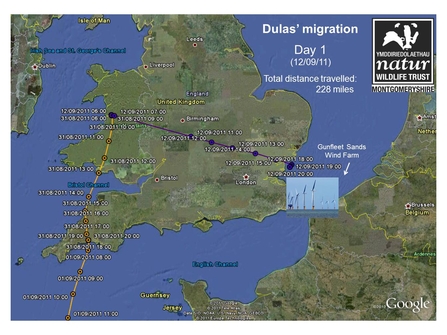 Dulas' migration route, 12/09/11. Dyfi Osprey Project.