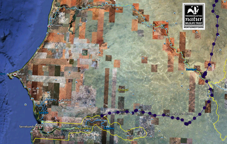 Migration route for Dulas, 29/09/11. Dyfi Osprey Project.
