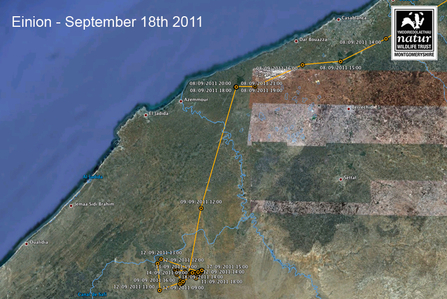 Einion migration data, 18/09/2011. Dyfi Osprey Project.