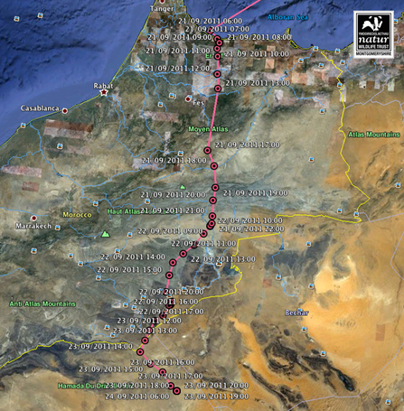 Migration data for Leri, Dyfi Osprey Project, Sept 2011