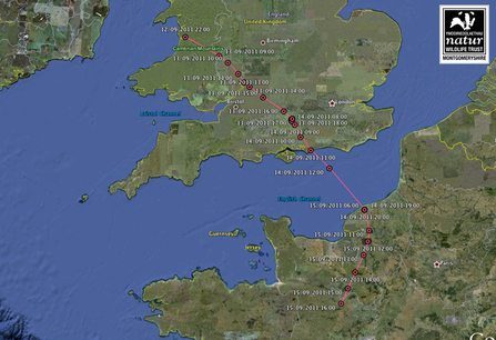 Leri, migration route. Dyfi Osprey Project.