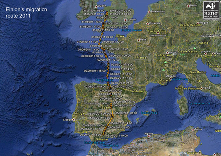Einion migration route, 2011. Dyfi Osprey Project