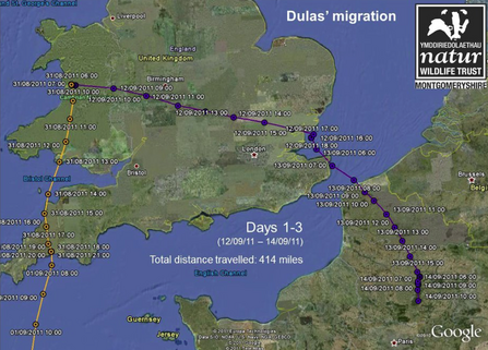 Dulas migration, days 1-3. Dyfi Osprey Project.
