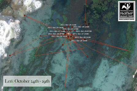 Leri, migration tracking data, Oct 24-29, 2011