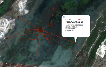 Leri migration data, 29/10/11. Dyfi Osprey Project.