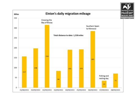Einion's daily migration mileage chart for Wales to Morocco