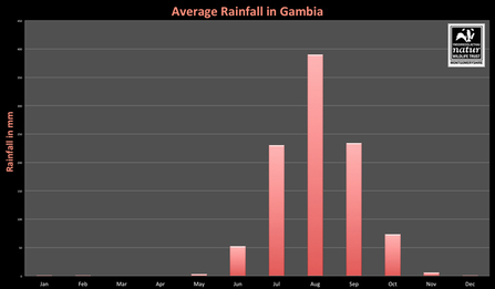Monthly average rainfall in Gambia