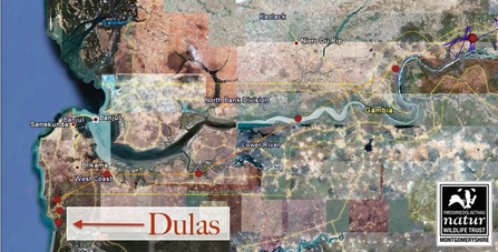 Dulas migration route, 15/11/11. Dyfi Osprey Project.