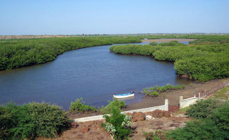 Somone Lagoon, Senegal, by Roy Dennis