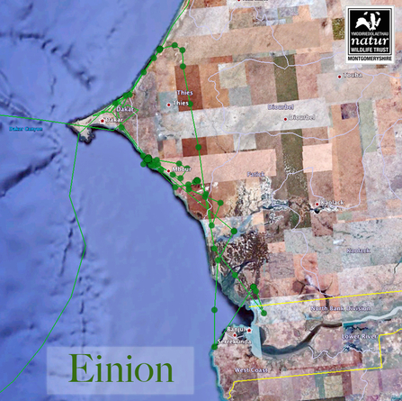 Einion migration tracking data, December 3-6, 2011