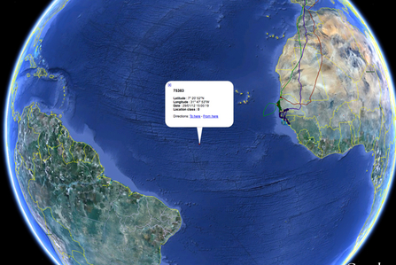 Dulas, migration tracking data, Dyfi Osprey Project. January 2012.