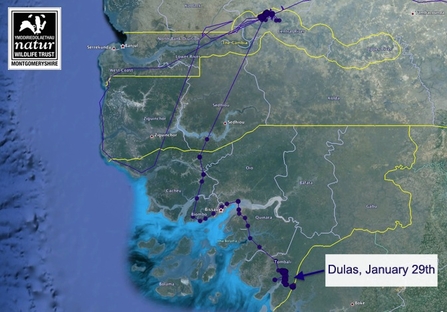 Dulas tracking data points, January 2012. Dyfi Osprey Project.