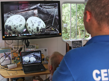 HD camera test at Dyfi Osprey Project