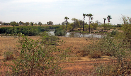 Panchang, Gambia. By Janine Pannett.