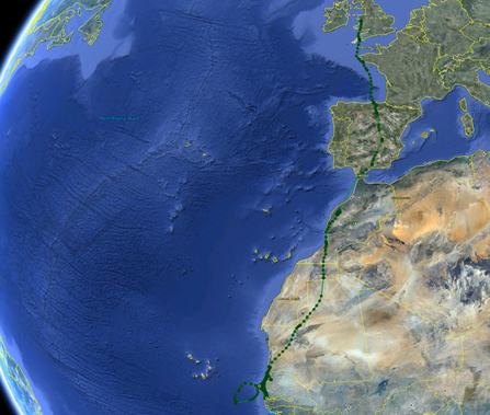 © MWT - Data points mapping Einion's migration to Africa. Dyfi Osprey Project.