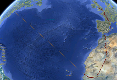 © MWT - Outlier tracking data point for Leri. Dyfi Osprey Project.