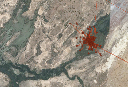 © MWT - Data points from Leri's tracker in May, 2012. Dyfi Osprey Project.