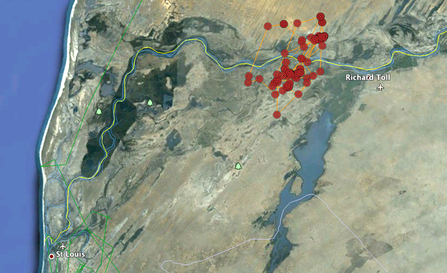 © MWT  - Ceulan migration tracking data, Senegal