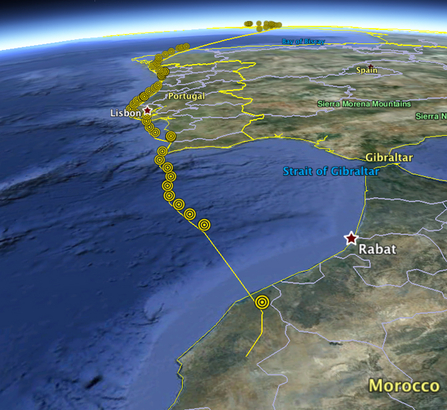 © MWT  - Ceulan migration tracking data (into Morocco)