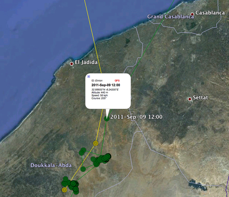 © MWT - Ceulan migration tracking data, 09/09/2011