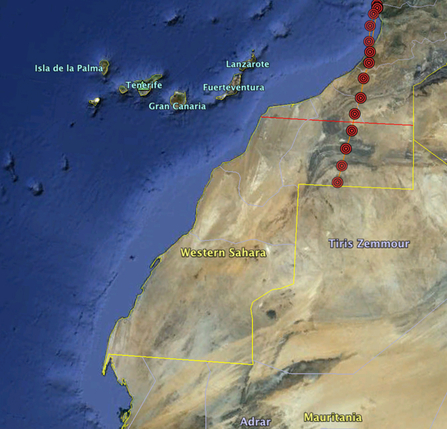 © MWT - Ceulan migration tracking data, nearing the Gambia