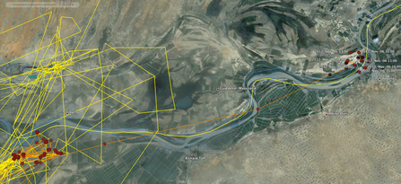 MWT - Ceulan, tracking data, Nov 5. Dyfi Osprey Project.