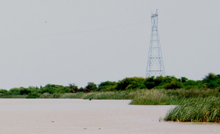 Electricity pylon, Senegal River