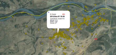 MWT - Ceulan, tracking data of all GPS points around Diawel River