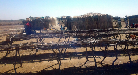 Fish being dried in the village where Ceulan was brought