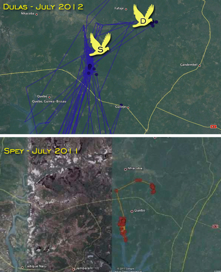 © MWT  - Dulas tracking data alongside Spey tracking data, 2012.