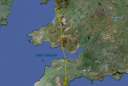 © MWT - Ceulan migration tracking data, 03/09/2012