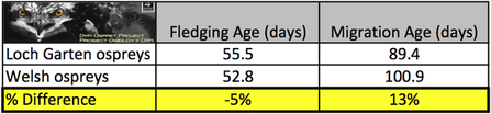 MWT - Fledging and migration ages comparison, Loch Garten and Welsh ospreys, 2004-2012