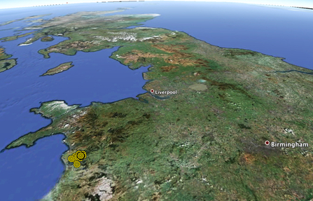 MWT - Ceulan tracking data (Wales)