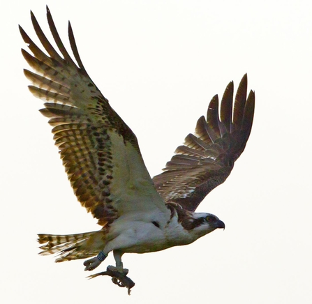 Einion in Senegal. © Arnault Vatinal