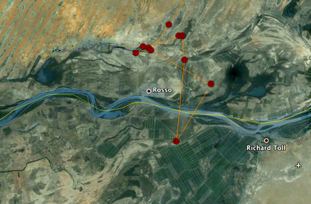 MWT - Ceulan migration tracking data, September 15-16