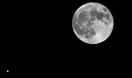 Full moon and Jupiter. © Emyr Evans