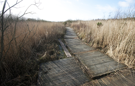 © MWT  - Cors Dyfi Boardwalk