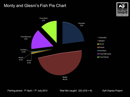 MWT - Monty & Glesni's Fish Pie Chart, 7th Apr-7th Jul 2013