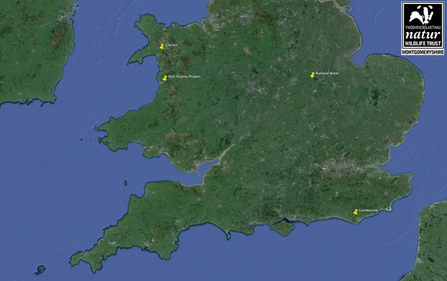 MWT - Map of Blue 24 sightings