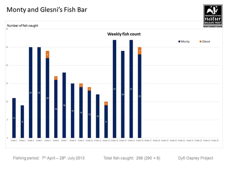 MWT - Monty and Glesni's Fish Bar, 7 Apr-28 Jul, 2013. Dyfi Osprey Project.