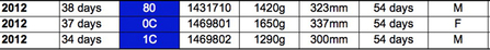 Glaslyn 2012 chick info