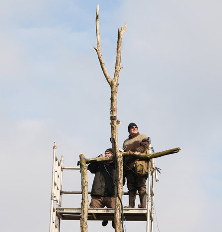 MWT - Working on the ash perch