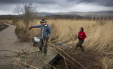 MWT - Brush cutting