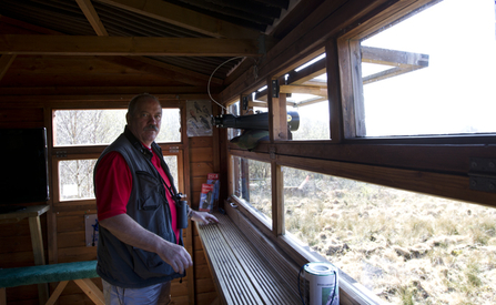 MWT - Volunteer in the original hide