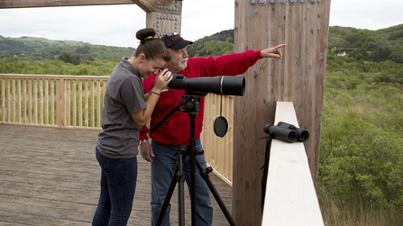 MWT - Watching from the Obs