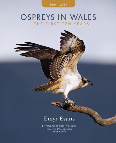 Ospreys in Wales: The First Ten Years