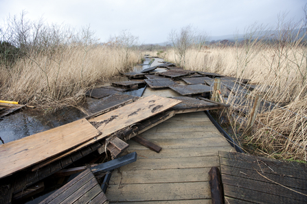 MWT - Boardwalk damage, January 2014